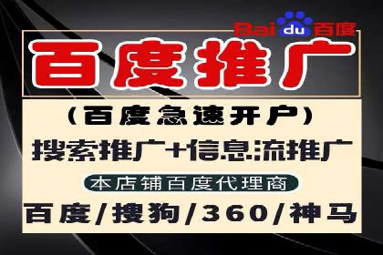 百度竞价赚钱的技巧与成功案例探讨